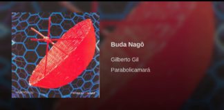 Album cover artwork for Brazilian singer Gilberto Gil's 'Parabolicamara'