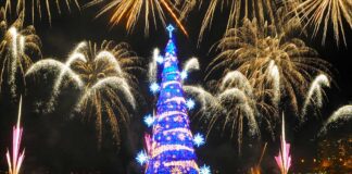 Rio de Janeiro's floating Chritsmas trees with fireworks at night