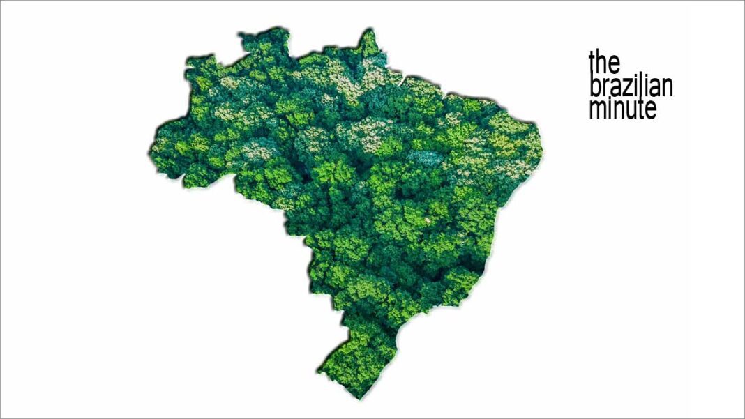 Brazil's Geography and Biodiversity - Connect Brazil