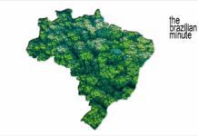 Brazil's Geography and biodiversity. Green Forest Map of Brazil