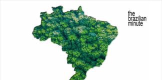 Brazil's Geography and biodiversity. Green Forest Map of Brazil