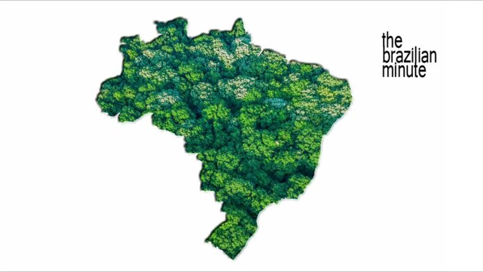 Brazil's Geography and biodiversity. Green Forest Map of Brazil