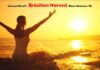 Brazilian Harvest Music Showcase ’25